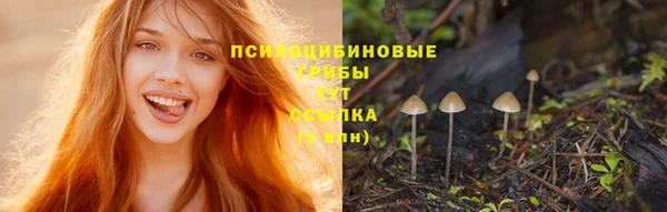 дурь Покровск