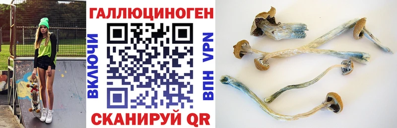 Галлюциногенные грибы Cubensis  цены наркотик  ссылка на мегу ССЫЛКА  Азнакаево 